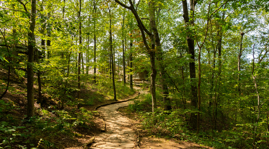 Garmin GPSMAP vs Montana: Comparing Garmin’s Top Handheld GPS Devices