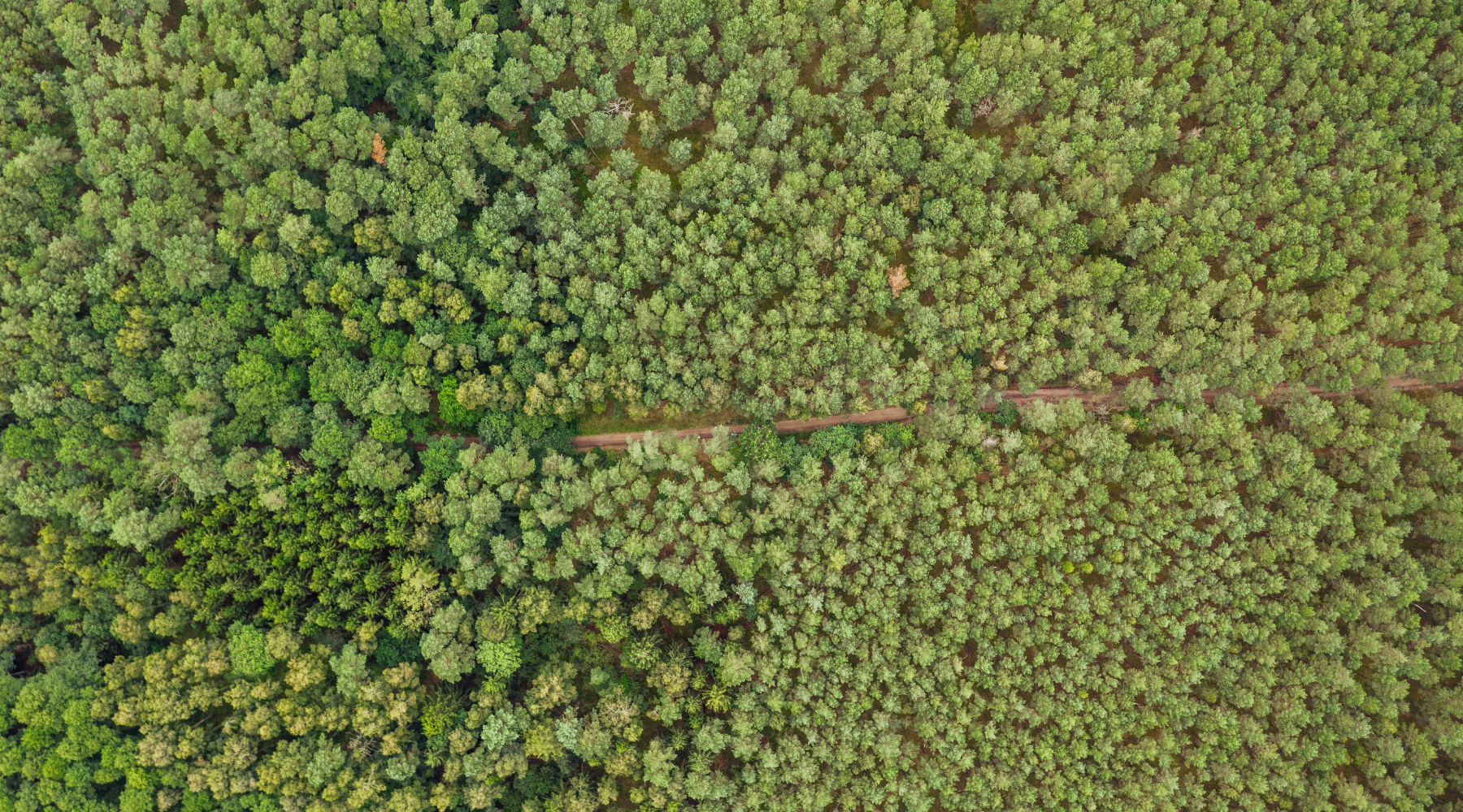 Off-Grid Adventures by Using Inmarsat IsatPhone 2 to Stay Connected