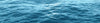 Ocean Signal