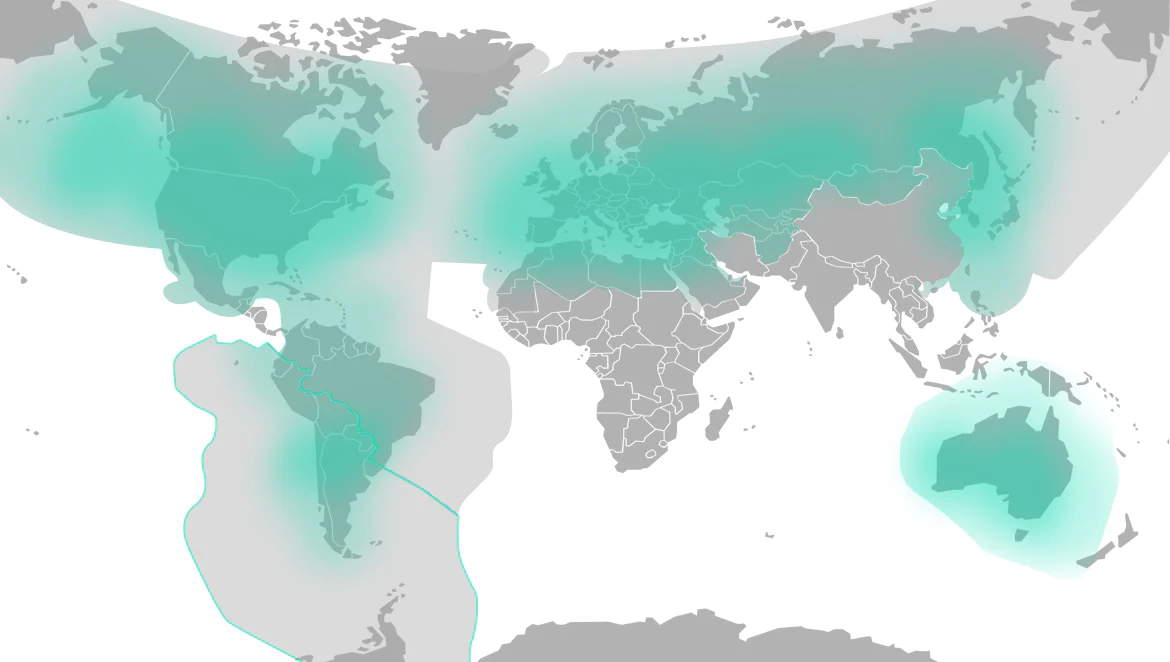 Global Satellite Coverage | Stay Connected Anywhere